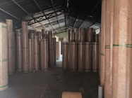 Rotary Die Board Beech